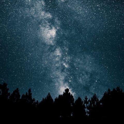 Best Cologne by Astrological Zodiac Sign