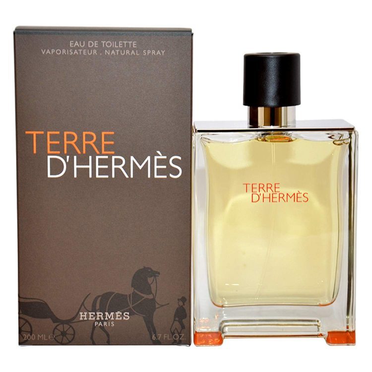 Terre d'Hermes by Hermes for Men