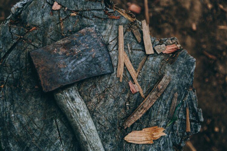 woody colognes