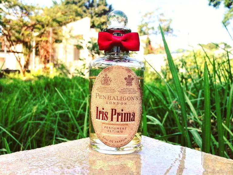 Best Iris Fragrances For Men - Iris Prima